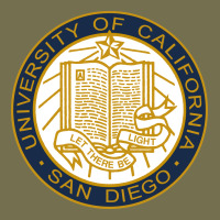 University Of California, San Diego Vintage Hoodie | Teevron
