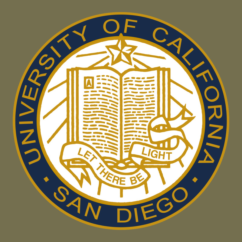 University Of California, San Diego Vintage Hoodie by artisFamous | Teevron