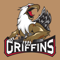 The Griffins, Grand Rapids Vintage Hoodie | Teevron