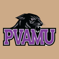 Prairie View A&m Panthers And Lady Panthers Vintage Hoodie | Teevron