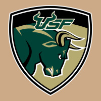 South Florida Bulls Vintage Hoodie | Teevron