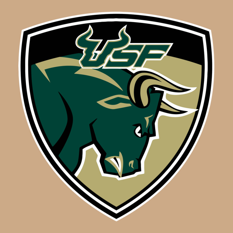 South Florida Bulls Vintage Hoodie by artisFamous | Teevron