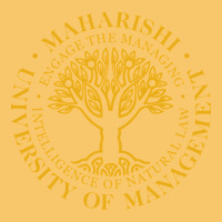 Maharishi International College Vintage Hoodie | Teevron