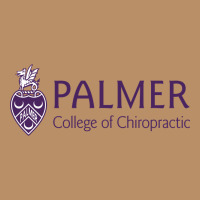 Palmer College Of Chiropractic Vintage Hoodie | Teevron