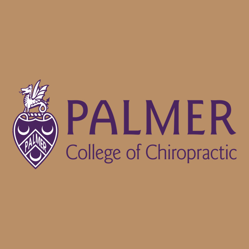 Palmer College Of Chiropractic Vintage Hoodie by artisFamous | Teevron