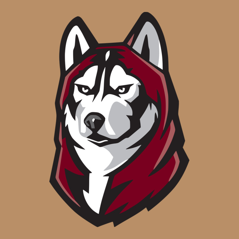Bloomsburg Huskies Vintage Hoodie by artisFamous | Teevron