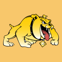 Bowie State Bulldogs Vintage Hoodie | Teevron