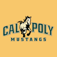 Cal Poly Mustangs Vintage Hoodie | Teevron
