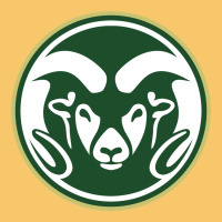 Colorado State Rams Vintage Hoodie | Teevron