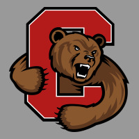 Cornell Big Red Vintage Hoodie | Teevron