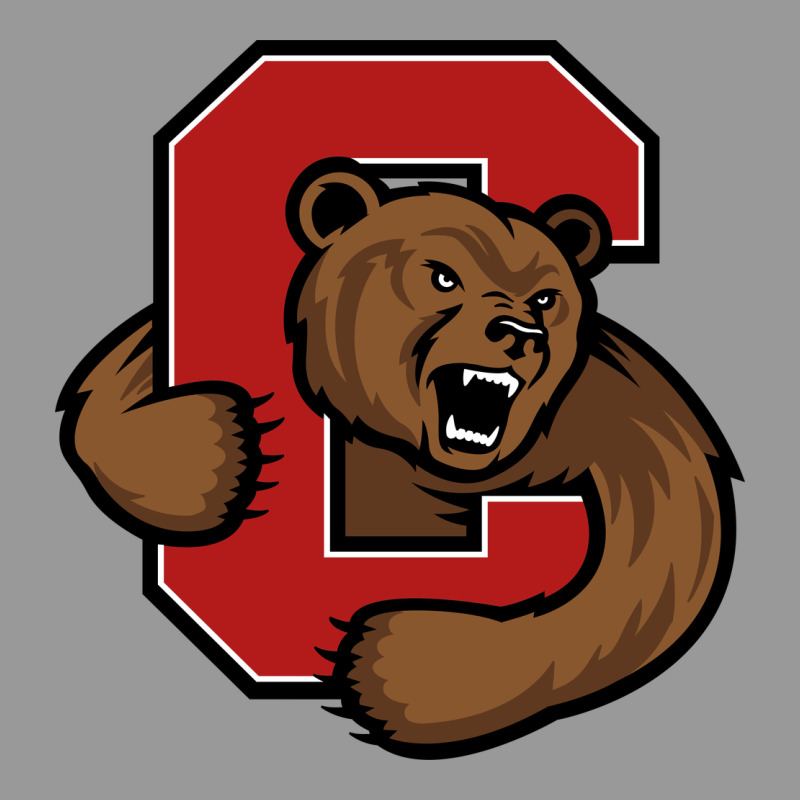 Cornell Big Red Vintage Hoodie by artisFamous | Teevron
