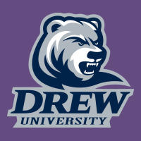 Drew University Vintage Hoodie | Teevron