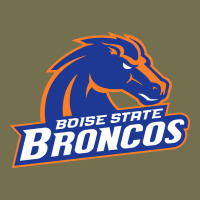 Boise Design Vintage Hoodie | Teevron