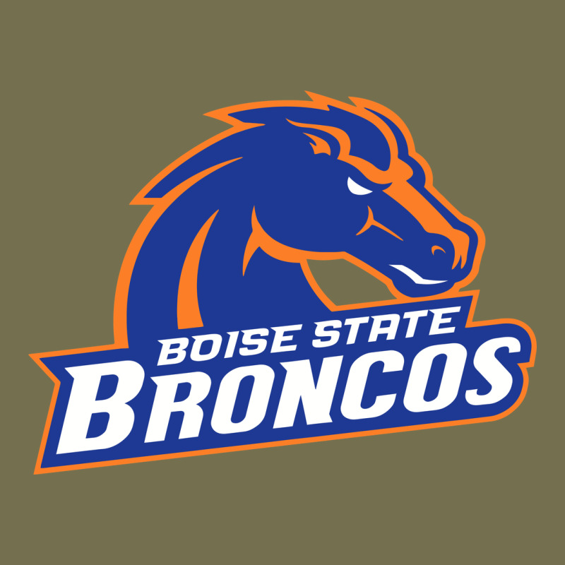 Boise Design Vintage Hoodie by artisFamous | Teevron