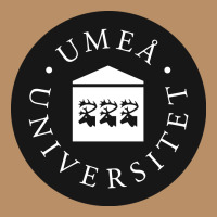 Umeå University Vintage Hoodie | Teevron