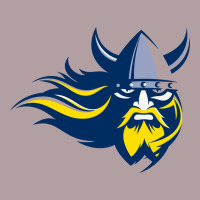Augustana Vikings Augustana College Vintage Hoodie | Teevron