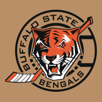 Buffalo State College Vintage Hoodie | Teevron