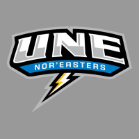 New England University Vintage Hoodie | Teevron