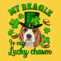 St.patricks Day My Beagle Is My Lucky Charm Premium Sweatshirt | Teevron