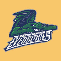 Florida Everblades Vintage Hoodie | Teevron