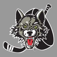 Chicago Wolves Vintage Hoodie | Teevron