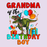 Grandma Of The Birthday Boy T Rex Premium Hoodie | Teevron