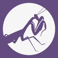 Praying Mantis Vintage Hoodie | Teevron