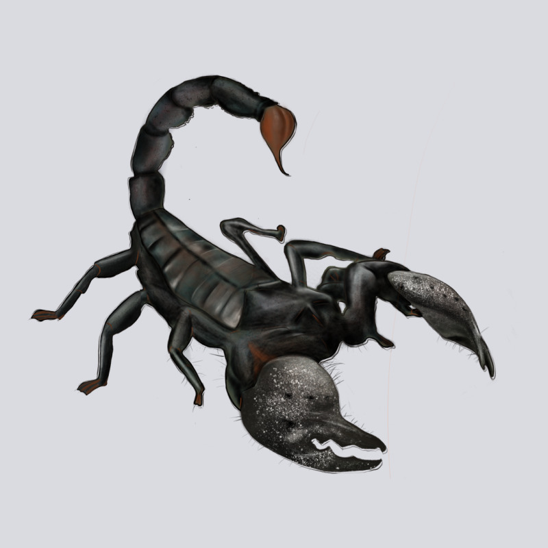 Scorpion Zipper Hoodie by JahusDesignShop | Teevron