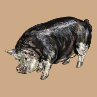 Poland China Pig Vintage Hoodie | Teevron