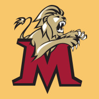 Lions, Molloy College Vintage Hoodie | Teevron
