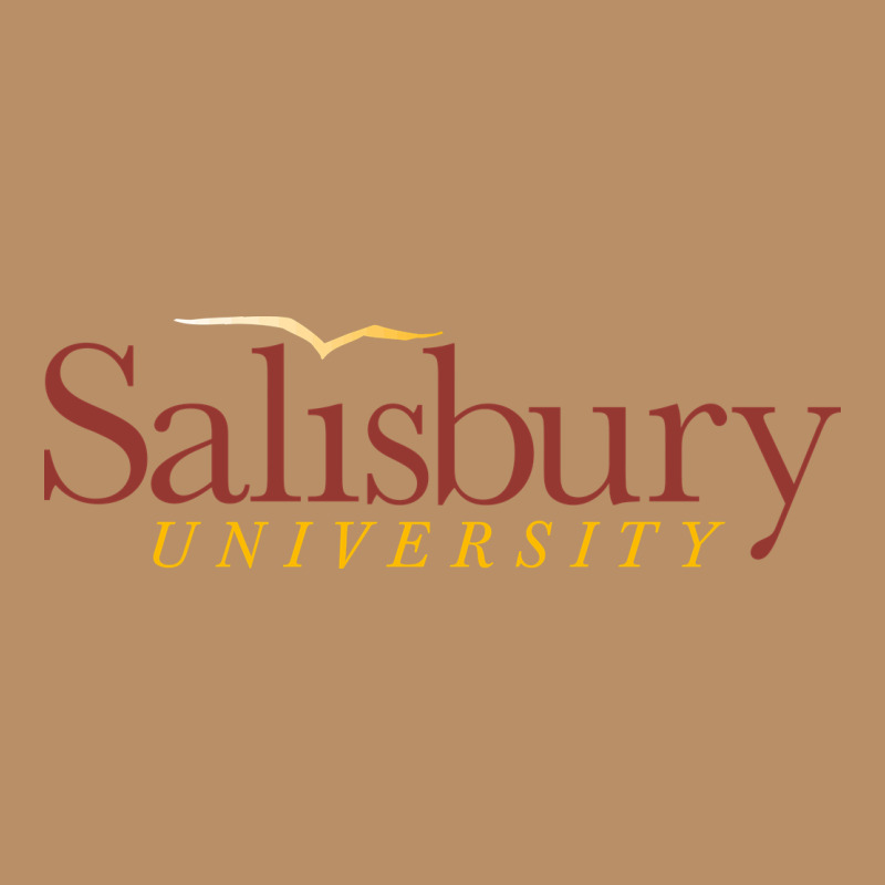Salisbury University Vintage Hoodie by linhVisuals | Teevron