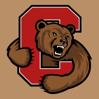 The Cornell Big Red Vintage Hoodie | Teevron