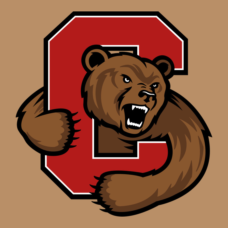 The Cornell Big Red Vintage Hoodie by linhVisuals | Teevron