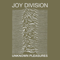 Joy Division Vintage Hoodie | Teevron
