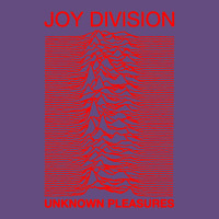 Joy Division Vintage Hoodie | Teevron