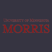 University Of Minnesota Morris Vintage Hoodie | Teevron