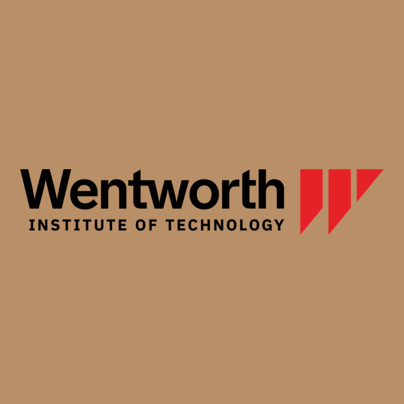 Wentworth Institute Of Technology Vintage Hoodie by linhVisuals | Teevron