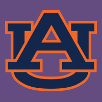 Auburn Tigers Vintage Hoodie | Teevron