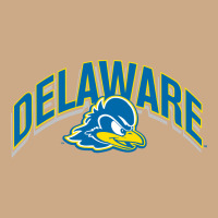 Delaware Sportss Vintage Hoodie | Teevron