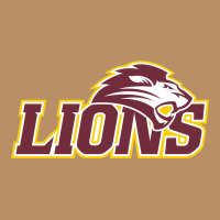 Freed–hardeman University Lion Vintage Hoodie | Teevron