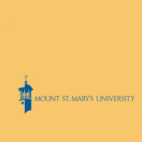 The Mount St Mary's University Vintage Hoodie | Teevron