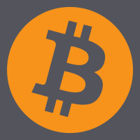 Bitcoin Ledger Blockchain Satoshi Btc Vintage Hoodie | Teevron