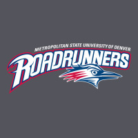 The Msu Denver Roadrunners Vintage Hoodie | Teevron