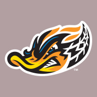Akron-rubber-ducks Vintage Hoodie | Teevron
