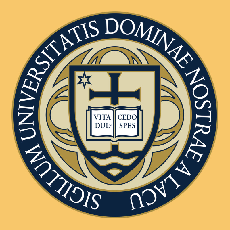 University Dame Vintage Hoodie by linhVisuals | Teevron