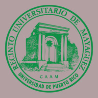 Upr At Mayaguez Vintage Hoodie | Teevron