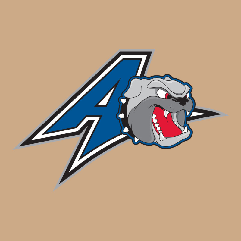 Unc Asheville Bulldogs Vintage Hoodie by linhVisuals | Teevron