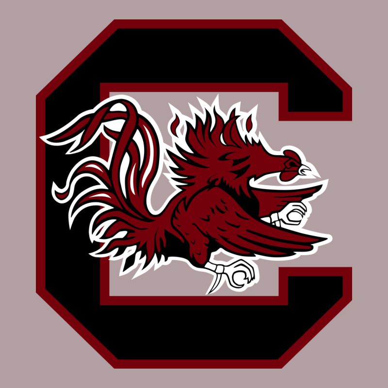 The Gamecocks Athletics Vintage Hoodie by linhVisuals | Teevron