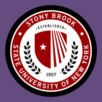 Stony Brook University Vintage Hoodie | Teevron