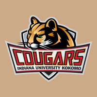Cougars, Kokomo Education Vintage Hoodie | Teevron